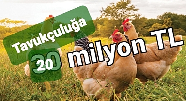 Tavukçuluğa 20 milyon lira kredi