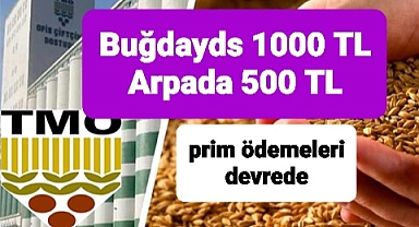 TMO Arpa ve buğday primleri de devrede.. 