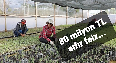 Tohum, fide ve fidanda 80 milyon lira krediye sıfır faiz
