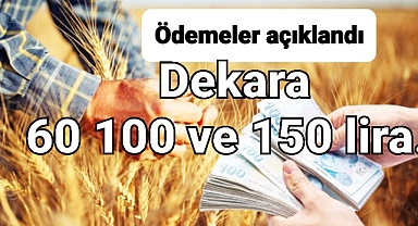 Yem bitkileri desteği ne kadar? icmaller askıda