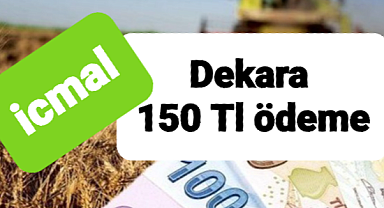 Yem bitkisi üretenlere ödeme yapılacak