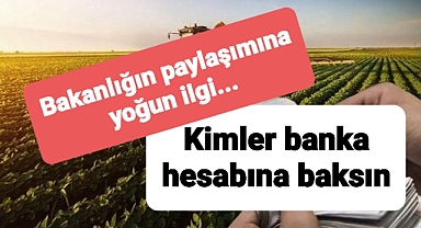 Bakanlığın çiftçi ödemeleriyle ilgili paylaşımına yoğun ilgi