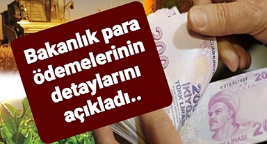 Bakanlık tarımsal ödemelerin detaylarını paylaştı çiftçilerin hesaplarına tek tek aktarıldı