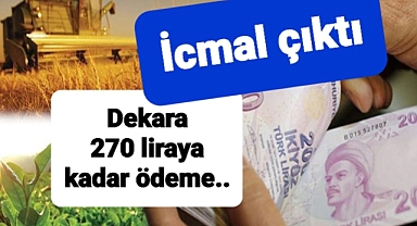 Çiftçilere dekar başına ödeme yapılacağı duyuruldu