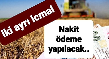 Çiftçilere iki kalemde ödeme müjdesi geldi