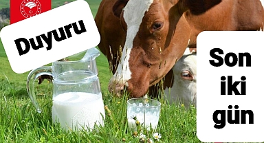 Çiğ süt desteğinde son iki gün DİKKAT