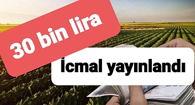 Hayvancılık yapanlara 30 bin lira destek verilecek