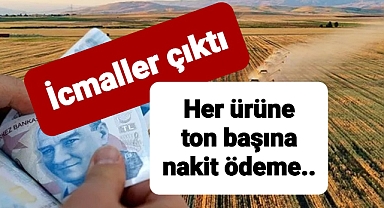 lisanslı depoları kullanan çiftçilere ödeme yapılacak