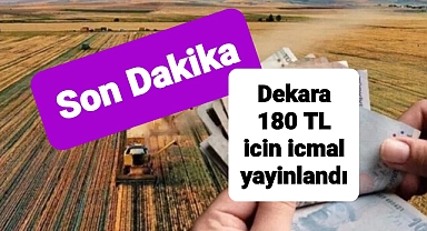 Organik Tarım yapanlara müjdeli haber geldi