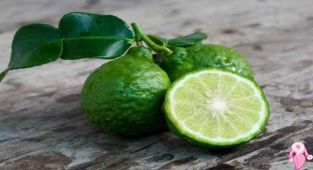 Sz hiç Bergamot Losyonu Kullandınız mı?