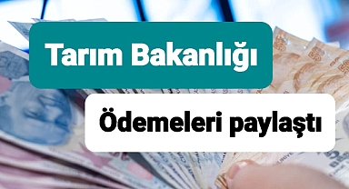 Tarım ve Orman Bakanlığı ödemeleri paylaştı