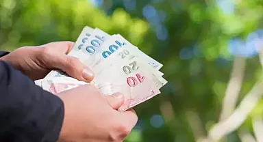 Tarımı bu şekilde yapanlara para ödemesi var