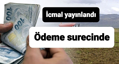 Tarımı bu şekilde yapanlara para ödemesi yapılacak