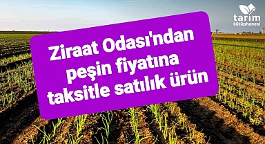 Ziraat Odası'ndan peşin fiyatına taksitle