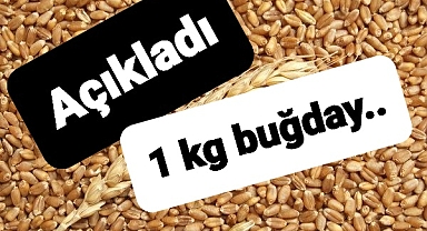 1 kilogram buğday kaç liraya üretiliyor?