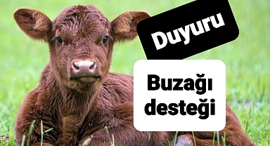 Buzağı desteklemesiyle ilgii önemli duyuru