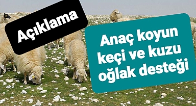 Kuzu ve oğlak destekleme modeli duyurusu