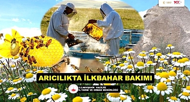 Tarım Müdürlüğü arıcılıkta ilk bahar bakımını paylaştı