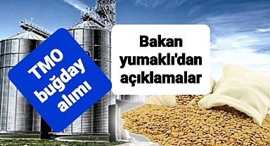 Yumaklı TMO'nun buğday alımları ve yeni sezonla ilgili açıklama yaptı