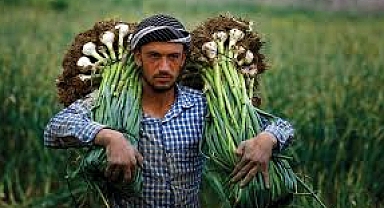 Bakan Yumaklı: toplam 45,3 milyar lira hibe desteği...
