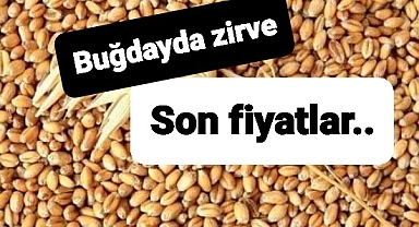 Buğday fiyatlarında son bir yılın zirvesi geldi