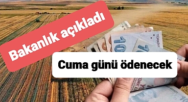 Duyduk duymadık demeyin Cuma günü çiftçilere ödeme var