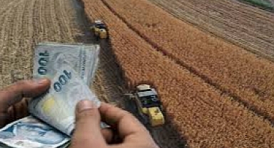 Arpa buğday primleriyle ilgili duyuru çiftçileri sevindirdi