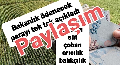 Çiftçi ödemelrinde flaş artışlar yürürlükte