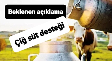 Çiğ süt paraları için duyuru yapıldı