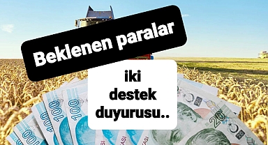 Çiğ süt ve buzağı desteği duyurusu aynı anda paylaşıldı