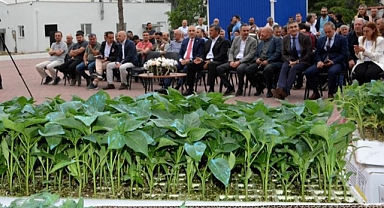 DOMATES, BİBER VE PATLICAN ÜRETİCİLERİNE HİBE FİDE