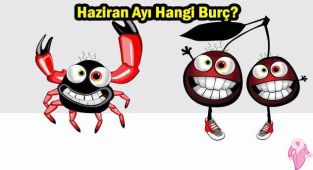 22 haziran ikizler mi yengeç mi? Haziran ikizler burcu mu? 23 haziran ikizler mi yengeç mi? Haziran yengeç mi?
