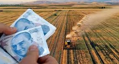 Bu destekte çiftçiye dekara 3 bin 825 lira destek verilecek