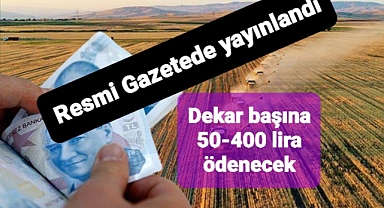 Bu destekte çiftçilere dekar başına 50 ile 400 lira ödeme yapılacak