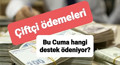 Çiğ süt ödemeleri Cuma günü tamamlanıyor