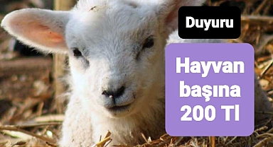 Hayvan başına 200 TL ödeme için duyurular yapılıyor