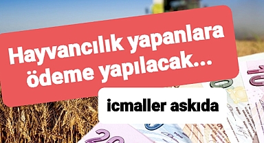 Hayvancılık desteğinde son açıklama