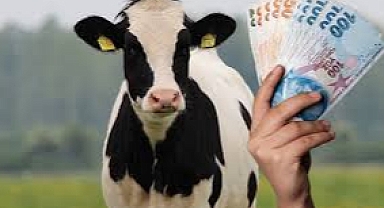 Hayvancılık destekleri iki gruba ayrıldı, tutarlar belirlendi