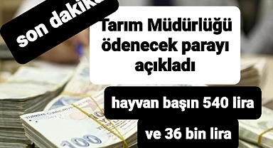 İşte hayvan sahiplerine ödenecek para