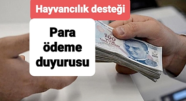 Malak desteğinde para ödemesiyle ilgili duyuru var