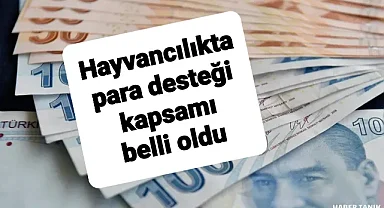 Sürü yöneticisi çoban desteğinde 85 bin liraya kadar ödeme alma imkanı