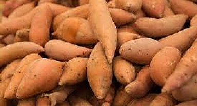 Tatlı patatesler ve yamlar ilk olarak nereden geliyor?