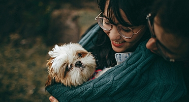 Yavru Köpeğinizi Günde 2 Öğüne Ne Zaman Geçirmelisiniz? Yavru Köpek Beslenme Programı