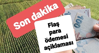 Çiftçilere flaş para ödemesi açıklaması