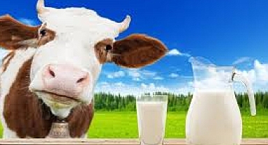 Çiğ süt desteği ile ilgili flaş açıklama
