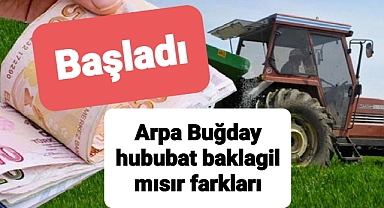 Hububat, Baklagil ve Dane Mısır Fark Destekleri askı icmalleri yayınlanmaya başladı