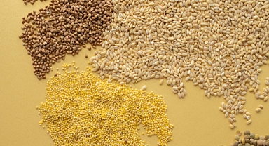 Mercimek Nasıl Yetiştirilir: Protein Dolu Baklagiller