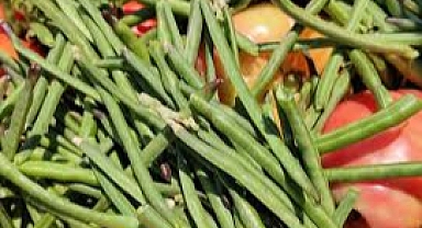 Taze börülcenin kilosu ne kadar? 1 kilo börülce ne kadar? 1 dönümden kaç kilo börülce çıkar? En iyi börülce nerede yetişir?