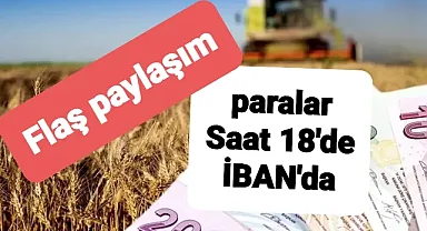 Flaş paylaşım ! çiftçiler İBAN numaralarınızı kontrol edin