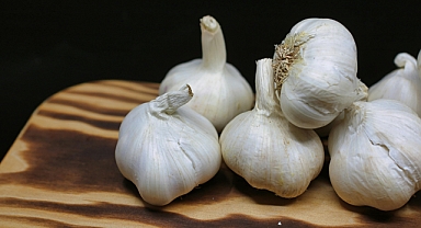 Her Gün Bir sarımsak yerseniz ne olur? Sarımsak kokusuz nasıl tüketilir?